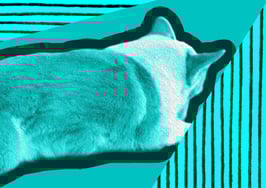 Introverted? 4 tips for marketing without picking up the phone