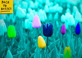 Why don't we think about clients' specific needs?