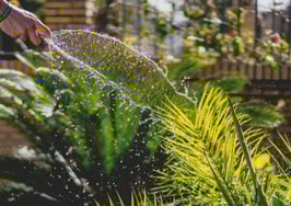 Audience Town believes it can end 'pay and spray' advertising