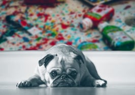 How to crush problematic agent behavior before it kills your deal