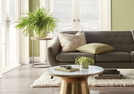 Nature-inspired green is Behr’s color of the year