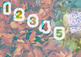 How to kick up your fall production right now