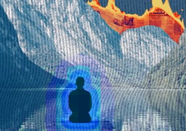 Where's a real estate agent's place in polarized times?