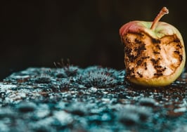 You’re the worst! 15 lessons I’ve learned from bad salespeople