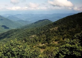 Tennessee's largest MLS sets its sights on going statewide