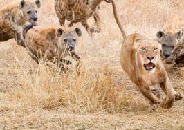 Stop chasing better splits! It's your net that truly matters