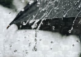 Who are Realtor association rules really protecting?