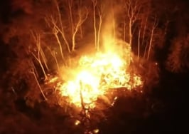 Tennessee treehouse, once the world's largest, burns to ground