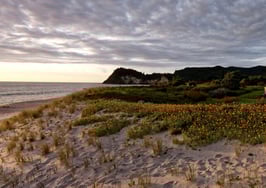 Are property portals worth what they cost? A case study