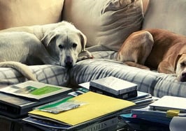 22 ways real estate pros are showing gratitude this year