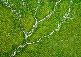 Lesson Learned: Be ready to evolve