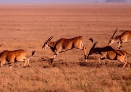 Don't be the prey: 5 ways to stay safe in the field