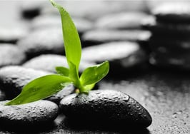 Watch your life and business grow when you adopt these 7 habits