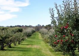 Perch rebrands as 'Orchard' and raises $36M