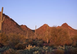 Zillow Offers returns to its birthplace for expansion in Arizona