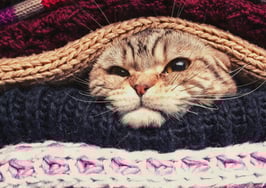 Winter blues getting you down? Here’s how to chase them away