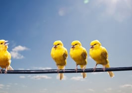 HouseCanary flies away with $65M in latest Series C funding round