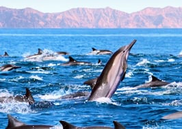 Growing beyond a team: 10 things you should know as you scale