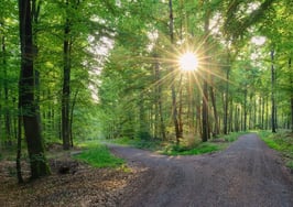 4 questions you must answer before expanding your team