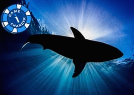 Lead-gen game changer: How to use the blue ocean strategy to dominate your local market