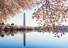 RealScout's Buyer Graph comes to Washington DC