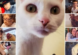 Inman reader QBs — quarantine buddies