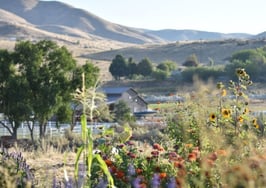 Post-virus home price growth forecasts show spike in the West