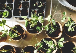 What one indie broker isn't doing in quarantine