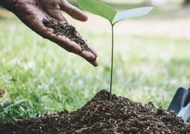 Here's how to help jump-start your local economy