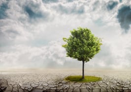 a tree on the horizon