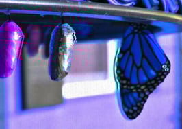 How to stand out during (and long after) this pandemic