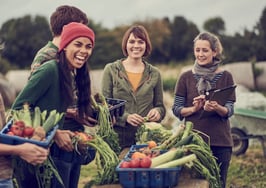 Welcome to the 'agrihood': How COVID-19 is popularizing agricultural neighborhoods