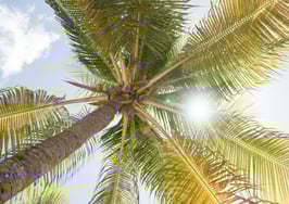 Massive Coldwell Banker network scoops up another brokerage