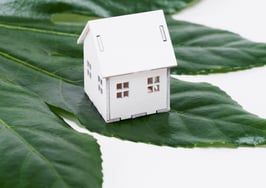 Green is the new black: 3 green living misconceptions debunked