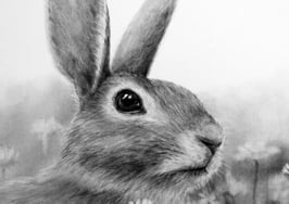 Home repair help and moving services on the rise: TaskRabbit