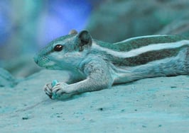 Is your team Q4 ready? Here’s how to prepare for winter