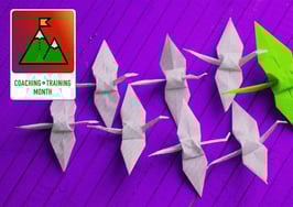 Lead, plan, communicate — the 3 basics of coaching through uncertainty