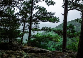 Stronger together: A pair of ERA franchisees partner to buy another