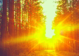 IBuyers, neo-brokers and elite agent platforms are changing everything