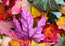 Is housing demand finally cooling down?