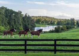 Idyllic Virginia estate with winery, brewery and famed Budweiser Clydesdales listed for $75M