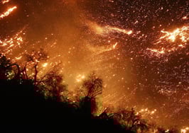 Affordability trumps wildfire risk for homeowners on West Coast