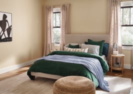 Amid a chaotic 2020, next year's colors of the year aim to soothe