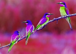 3 fundamental ways to support your team members