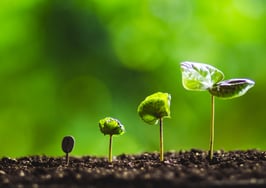 Following successful IPO, Fathom Holdings Q3 revenue soars 74%