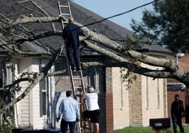Losses from Hurricane Zeta wind and storm surge could reach $4B