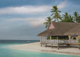 The Airbnb IPO could move forward this week. So what's next?