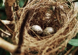 Knock launches new sale-leaseback program, Knock Nest