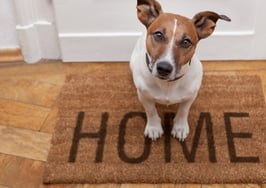 Here's why housing needs to be more pet-inclusive now