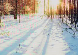 5 ways agents can take advantage of the off-season